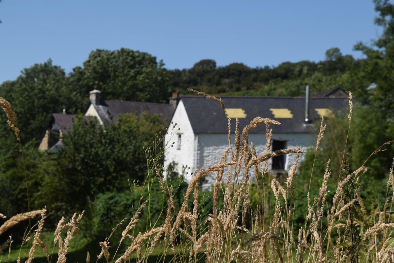 Nantgwynfaen Organic Farm Wales Villa Llandysul Exterior photo
