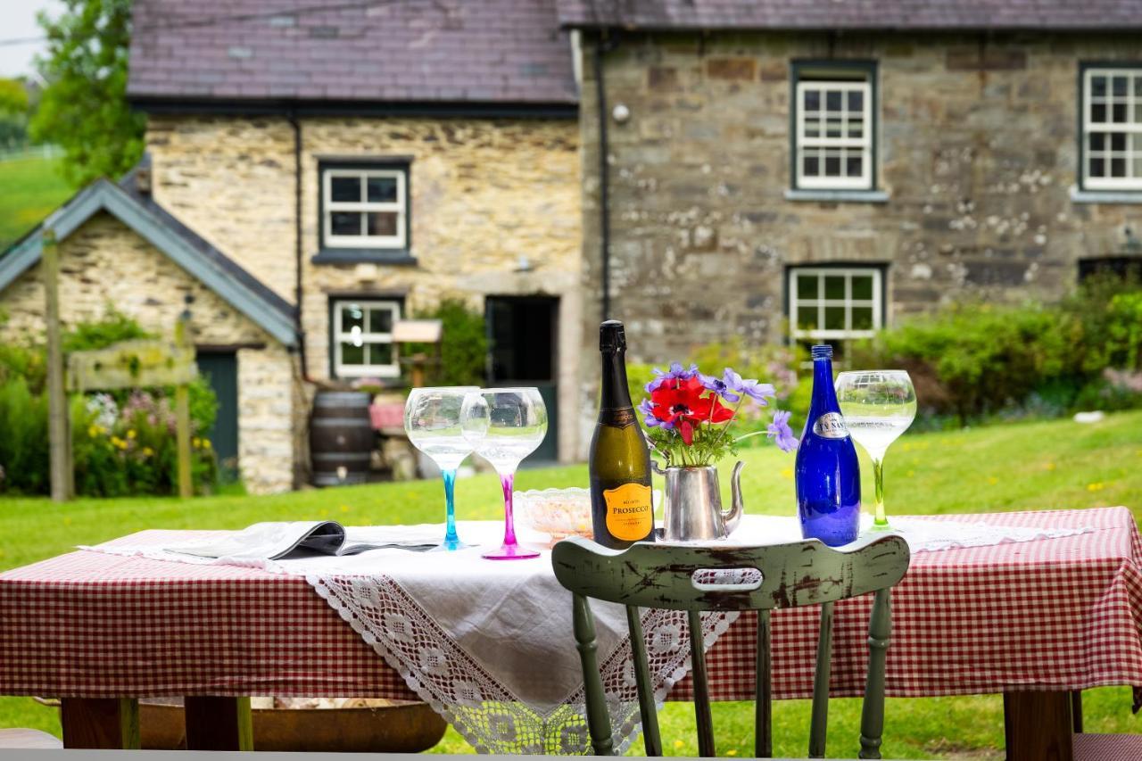 Nantgwynfaen Organic Farm Wales Villa Llandysul Exterior photo
