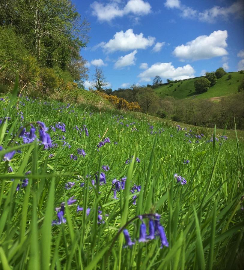Nantgwynfaen Organic Farm Wales Villa Llandysul Exterior photo