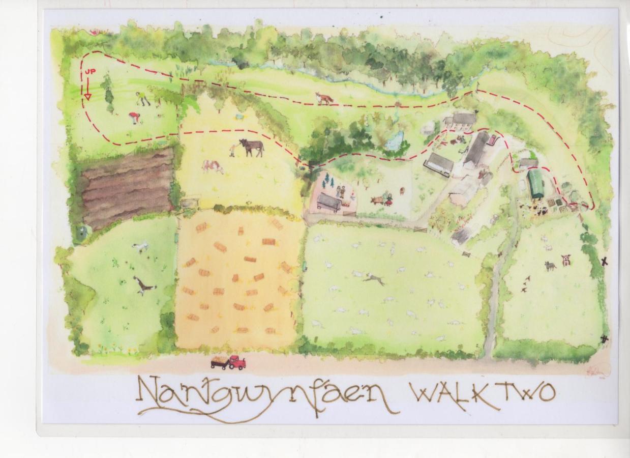 Nantgwynfaen Organic Farm Wales Villa Llandysul Exterior photo