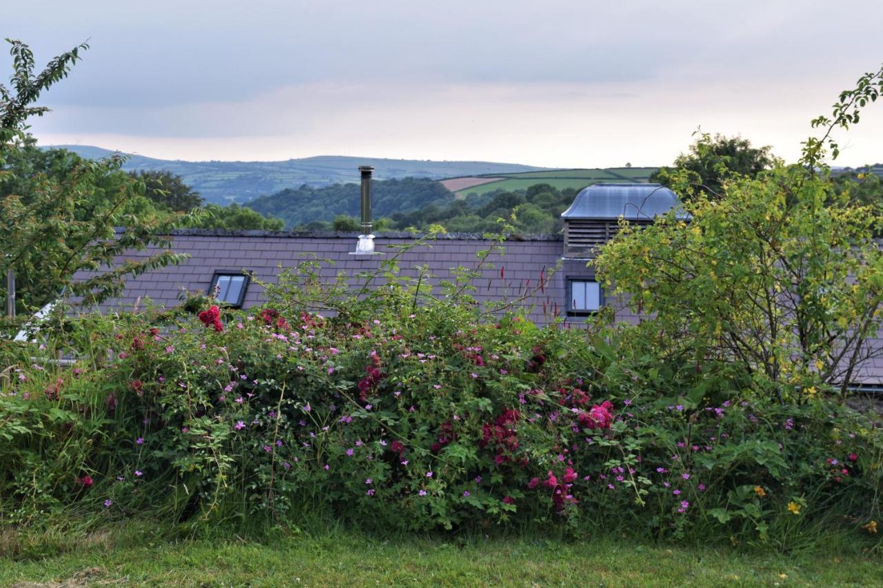 Nantgwynfaen Organic Farm Wales Villa Llandysul Exterior photo