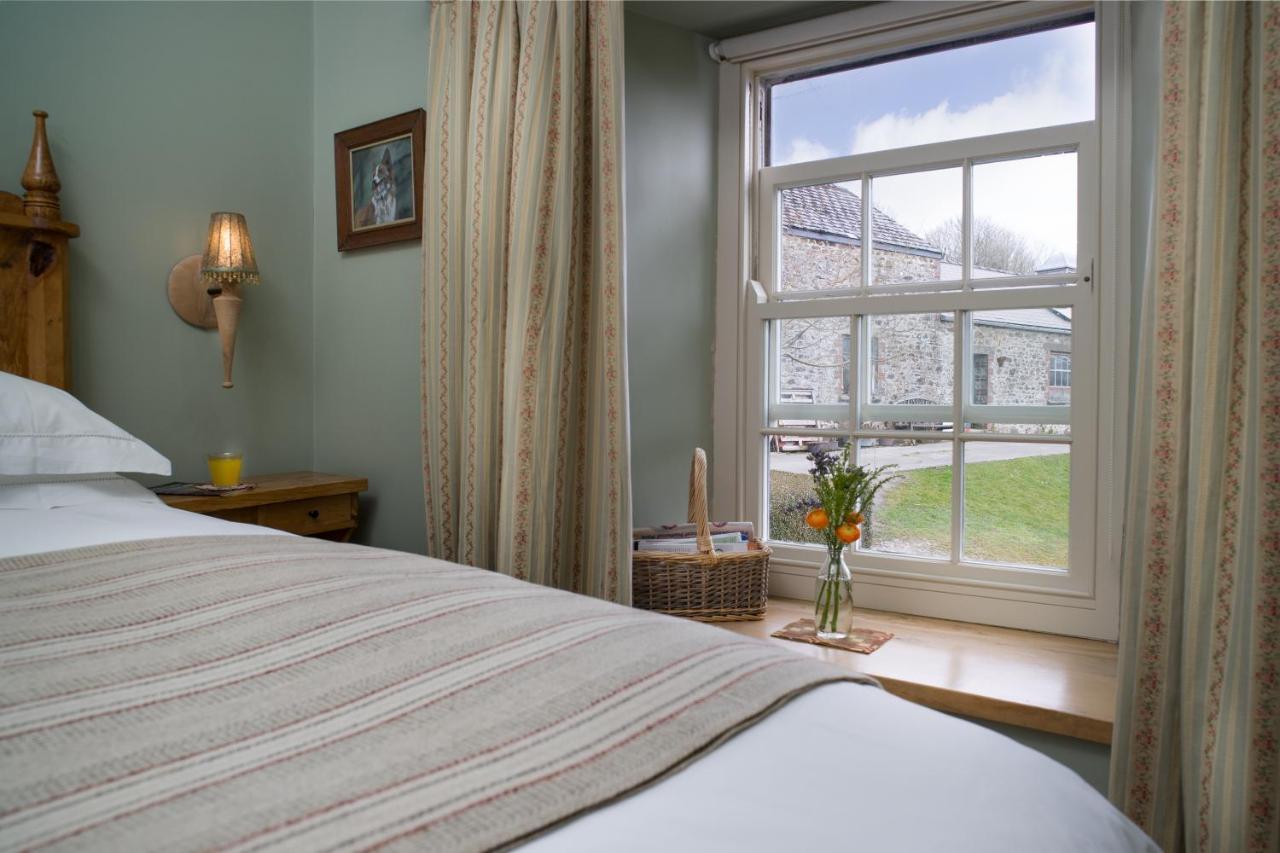 Nantgwynfaen Organic Farm Wales Villa Llandysul Exterior photo
