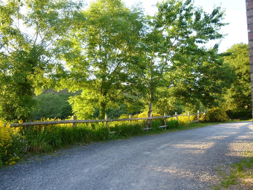 Nantgwynfaen Organic Farm Wales Villa Llandysul Exterior photo