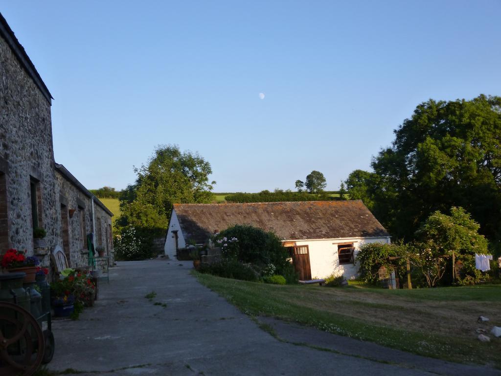 Nantgwynfaen Organic Farm Wales Villa Llandysul Exterior photo