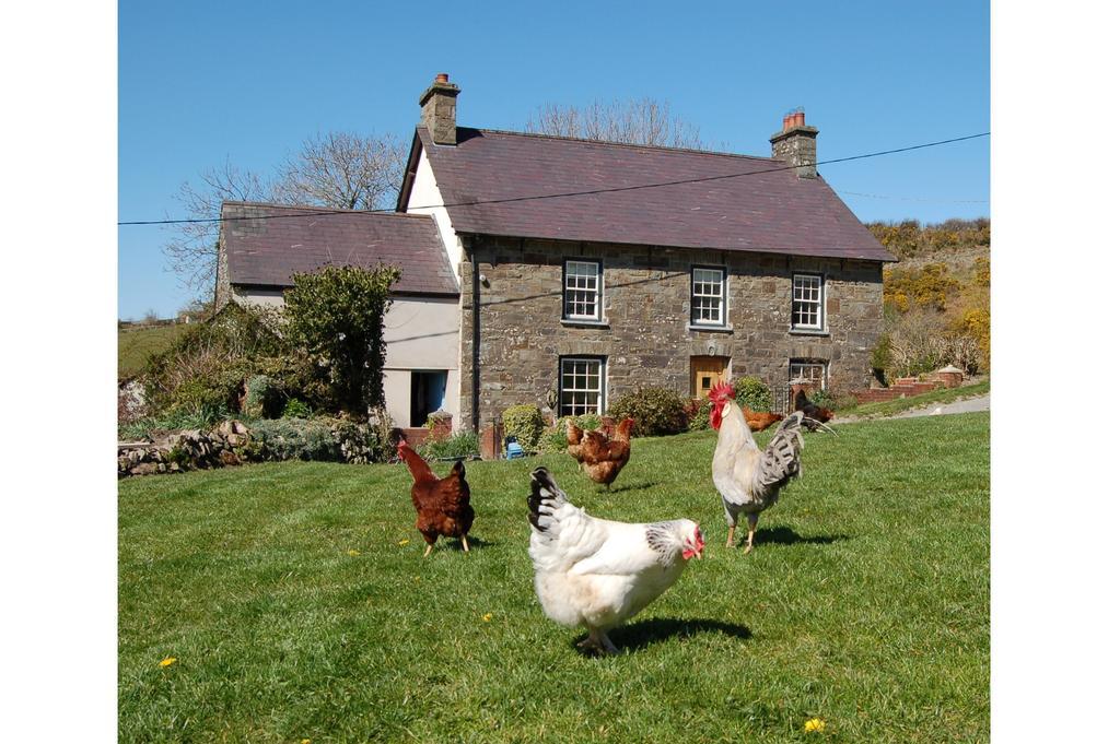 Nantgwynfaen Organic Farm Wales Villa Llandysul Exterior photo