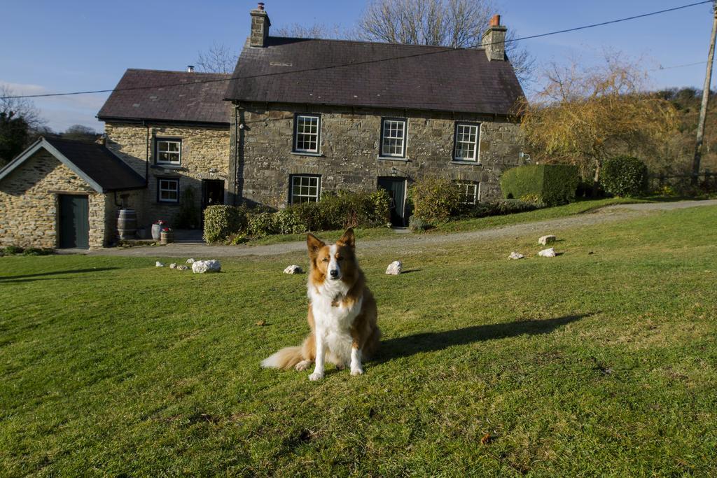 Nantgwynfaen Organic Farm Wales Villa Llandysul Exterior photo
